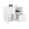 SoBuy ASK11-W Kancelářská skříňka na dokumenty/stojan na tiskárnu/úložná skříň do home office bílá