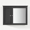 SoBuy BZR55-DG Zrcadlová skříňka Nástěnná skříňka Koupelnový nábytek Tmavě šedá